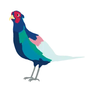 キジ　イラスト